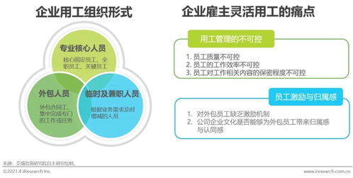 创孵猫 2021年中国灵活用工市场发展研究报告——工程和技术研发领域展望
